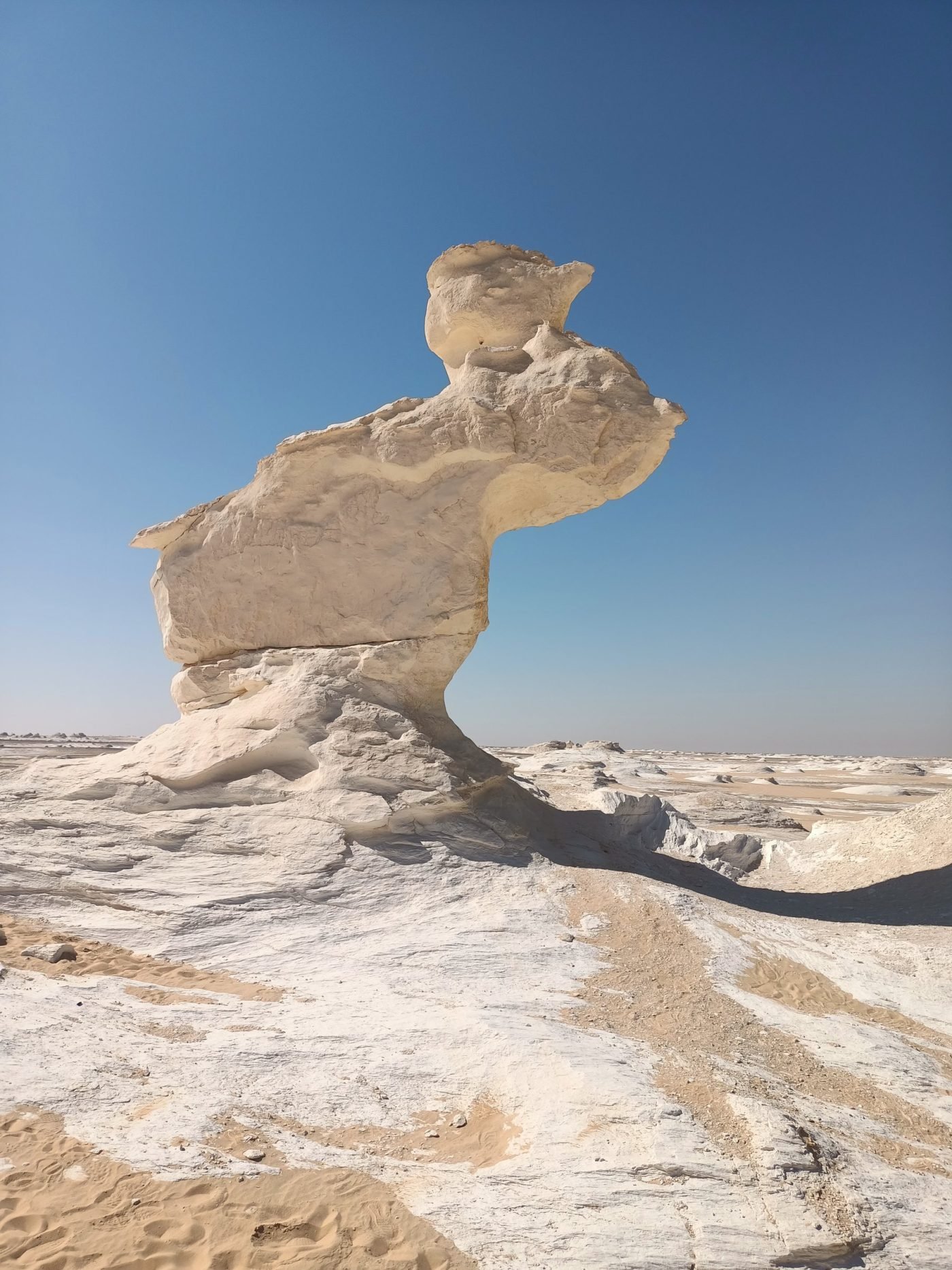 Chalk formations in the White Desert