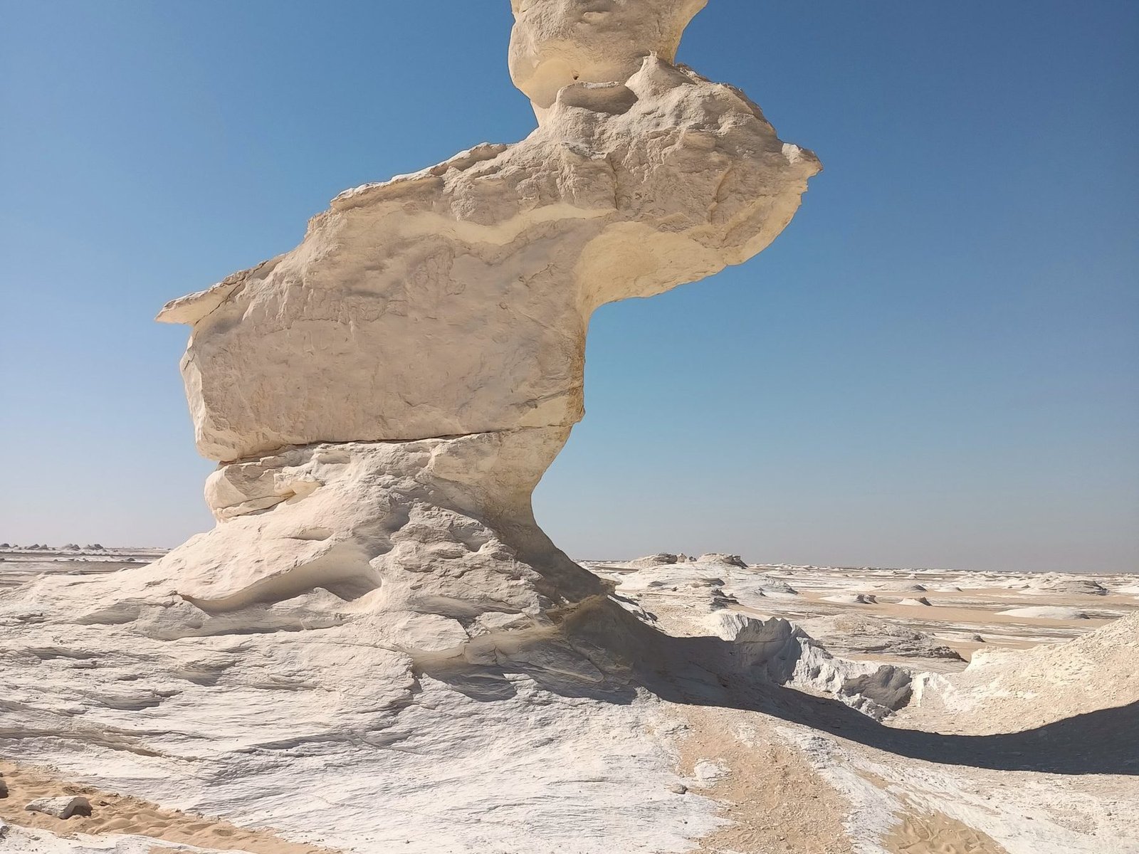Chalk formations in the White Desert