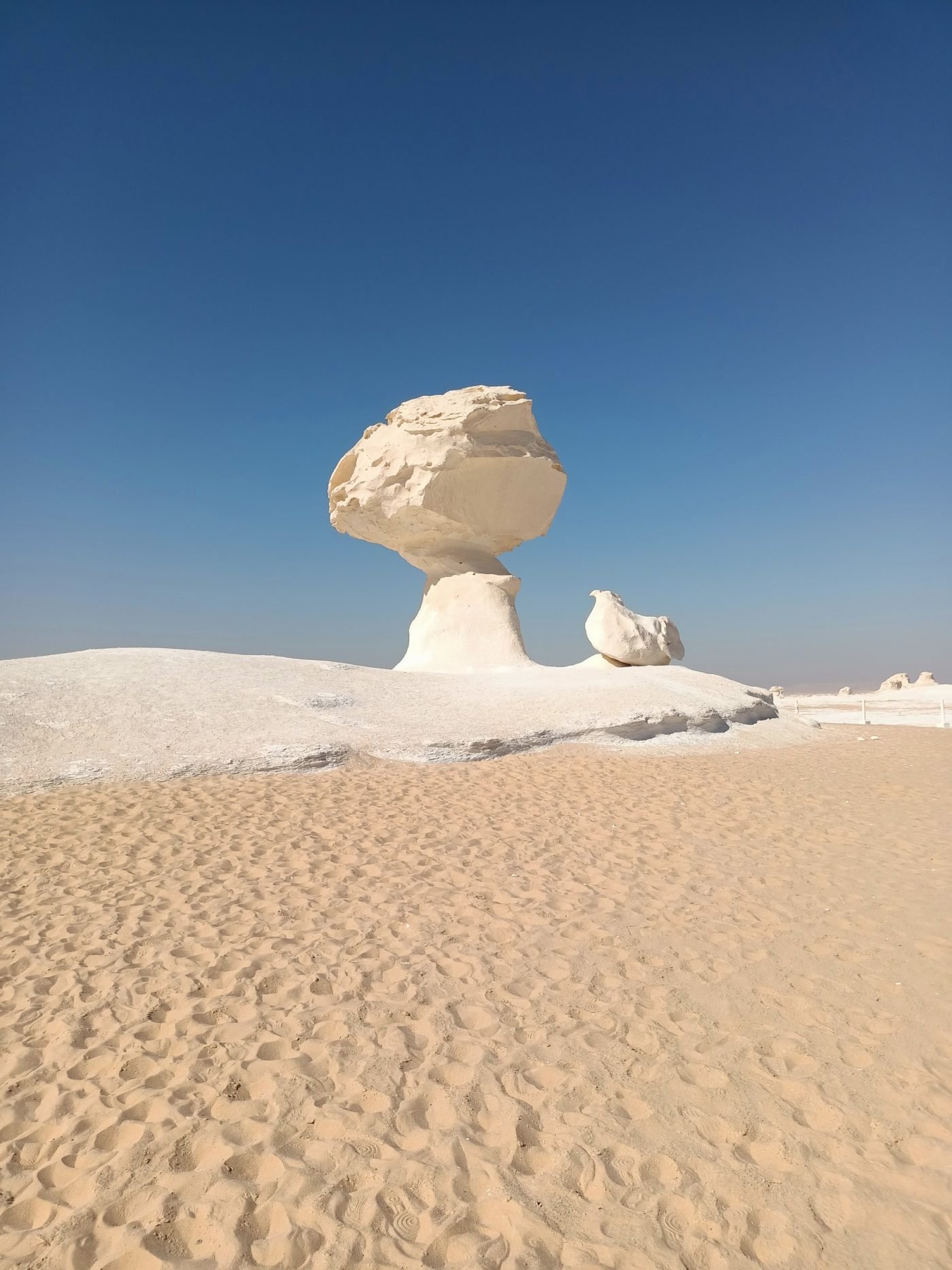 Chalk formations in the White Desert